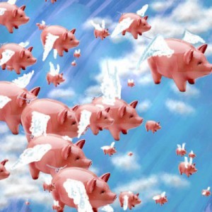Flying-Pigs